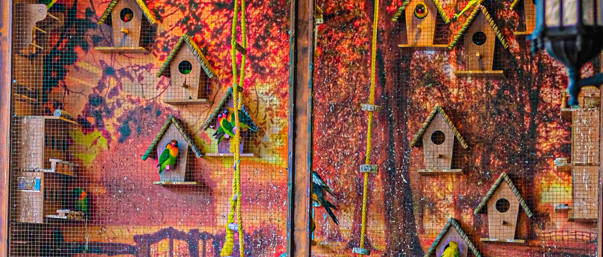 Soğuk içecek ve tatlı menüsü