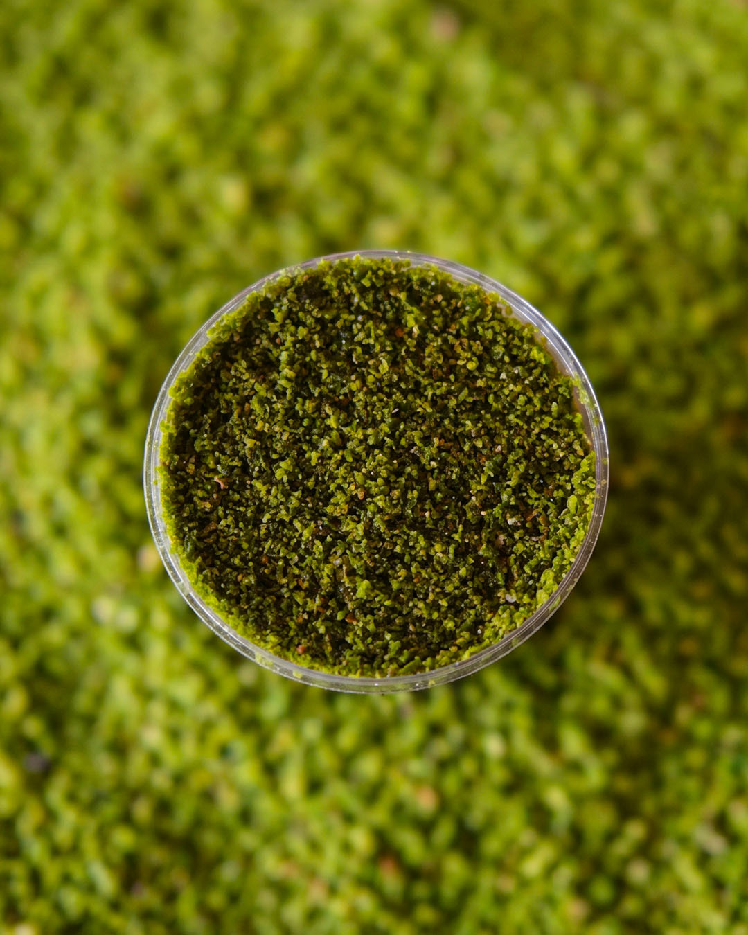 Sütlü Tatlılarımızı Denediniz mi?